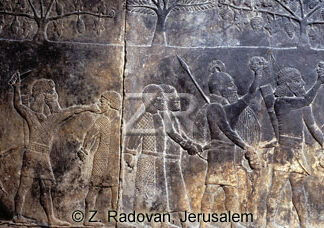 1030-1 Assyrian victory