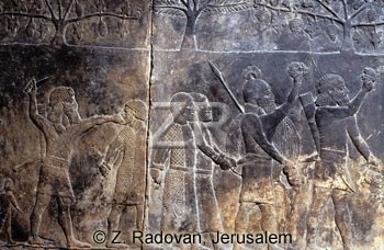 1030-1 Assyrian victory