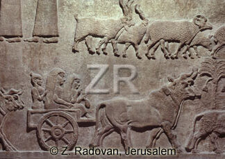 1031 Assyrian conquests