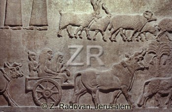 1031 Assyrian conquests