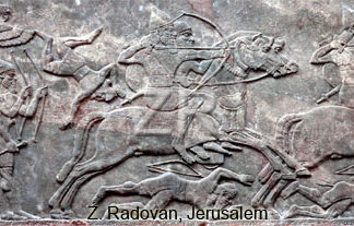 1049-6 Assyrian cavalry