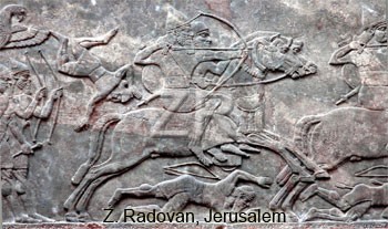 1049-6 Assyrian cavalry