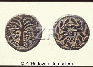 117-3 Herod Antipas coins