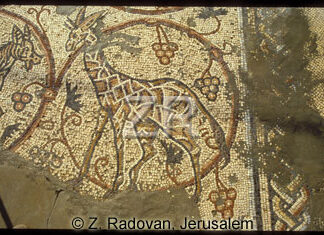 1257-7 Gaza synagogue