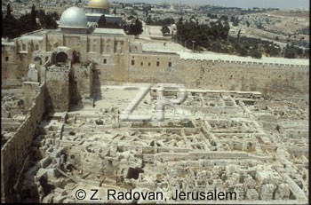 1324-5 The Temple Mount