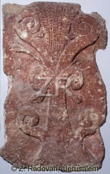 1366 Tree of Life