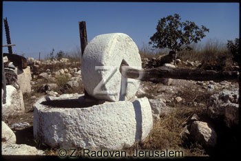 1434-1 Olive oil press