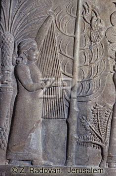 1439-4 Assyrian musicians