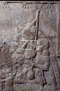 1441-2 King Ashurbanipal