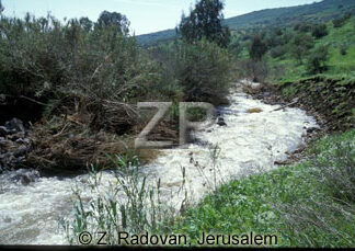 1538-16 River Jordan