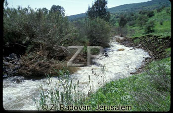 1538-16 River Jordan