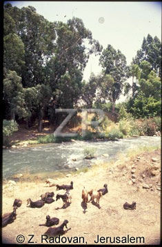 1538-29 River Jordan