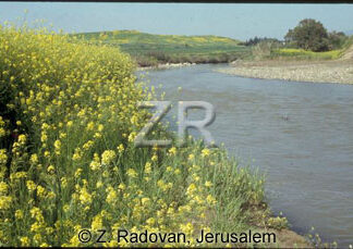 1538-32 River Jordan