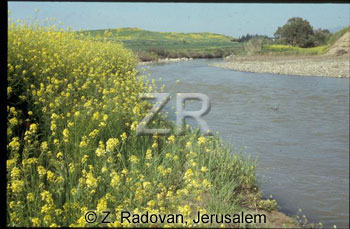 1538-32 River Jordan