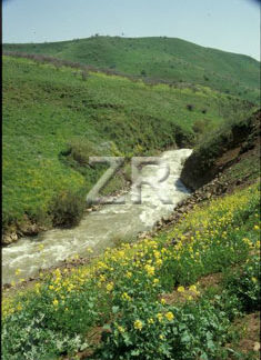 1538-5 River Jordan