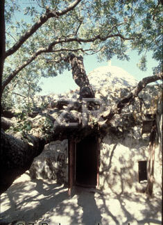 1561-2 Johoshua's tomb