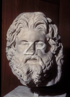 1572-1 Zeus
