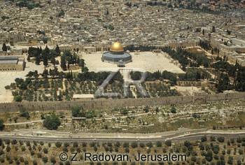 1619-5 Temple Mount