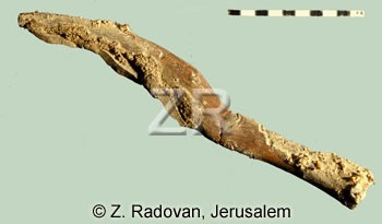 1646 Neolithic sickle