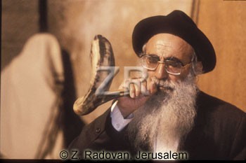 1671-12 Blowing the ram's h