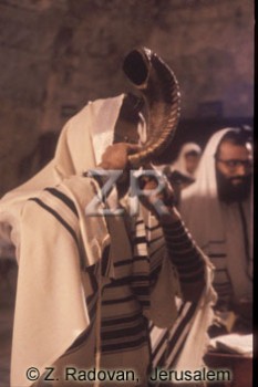 1671-4 Blowing the ram's ho