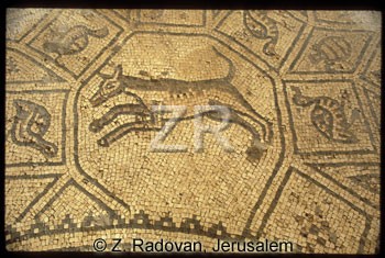 1672-13 BethShean mosaic
