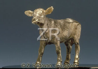 1675-1 golden calf