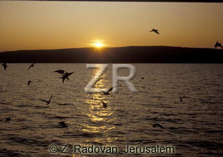 1722-4 Sea of Galilee