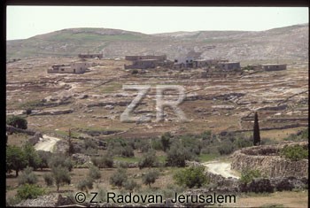175-3 Carmel in Judea