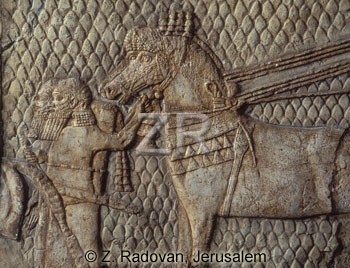 1776 Lachish