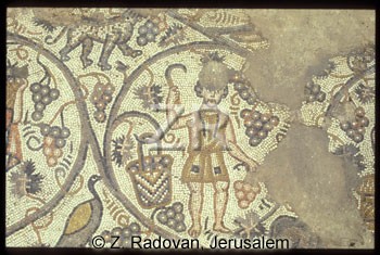 1778-3 BethShean