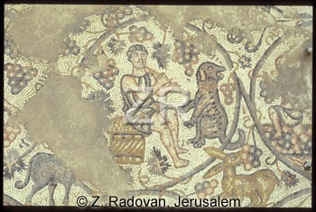 1778-5 BethShean