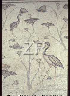 1780-3 Tabgha mosaic