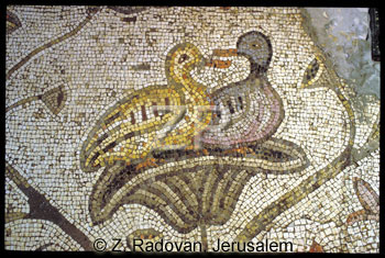 1781-1 Tabgha mosaic