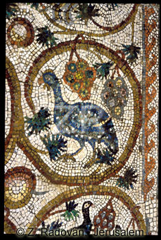 1782-1 BethShean mosaic