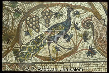 1782-5 BethShean mosaic