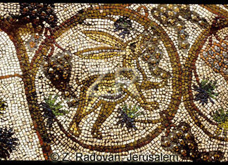 1782-7 BethShean mosaic