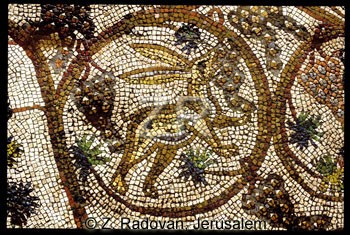 1782-7 BethShean mosaic