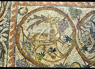 1782-8 BethShean mosaic