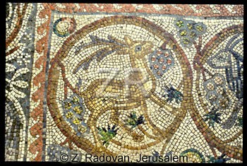 1782-8 BethShean mosaic
