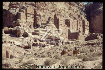 1808-17 Petra Nabatean tomb