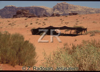 1813 Wadi Ram