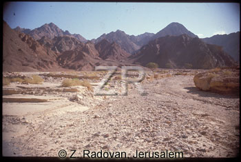 1895-1 Sinai wilderness