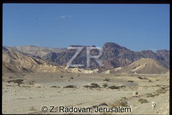 1895-3 Sinai wilderness