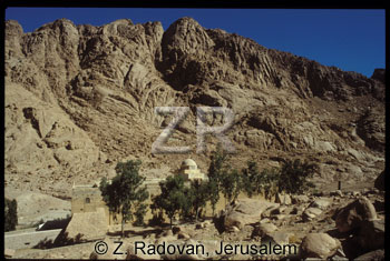 1948-16 Mt.Sinai area