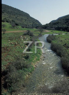 1960-3 Upper Galilee Dishon