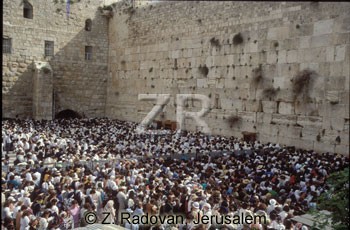 2080-4 Passover Pilgrimage