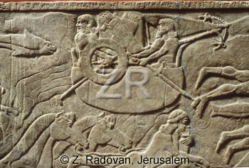 2169 Assyrian army