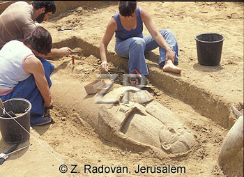 218-1 Excavating Anthropoid