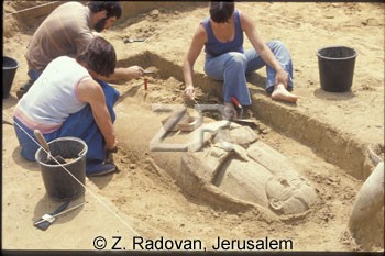 218-2 Excavating Anthropoid